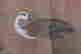 item-62212971=2
