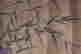 item-62212971=4
