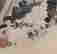 item-62375050=5