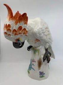 Large antique meissen porcelain cockatoo