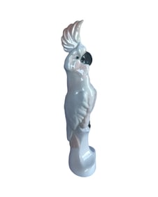 Rare Antique Meissen porcelain cockatoo