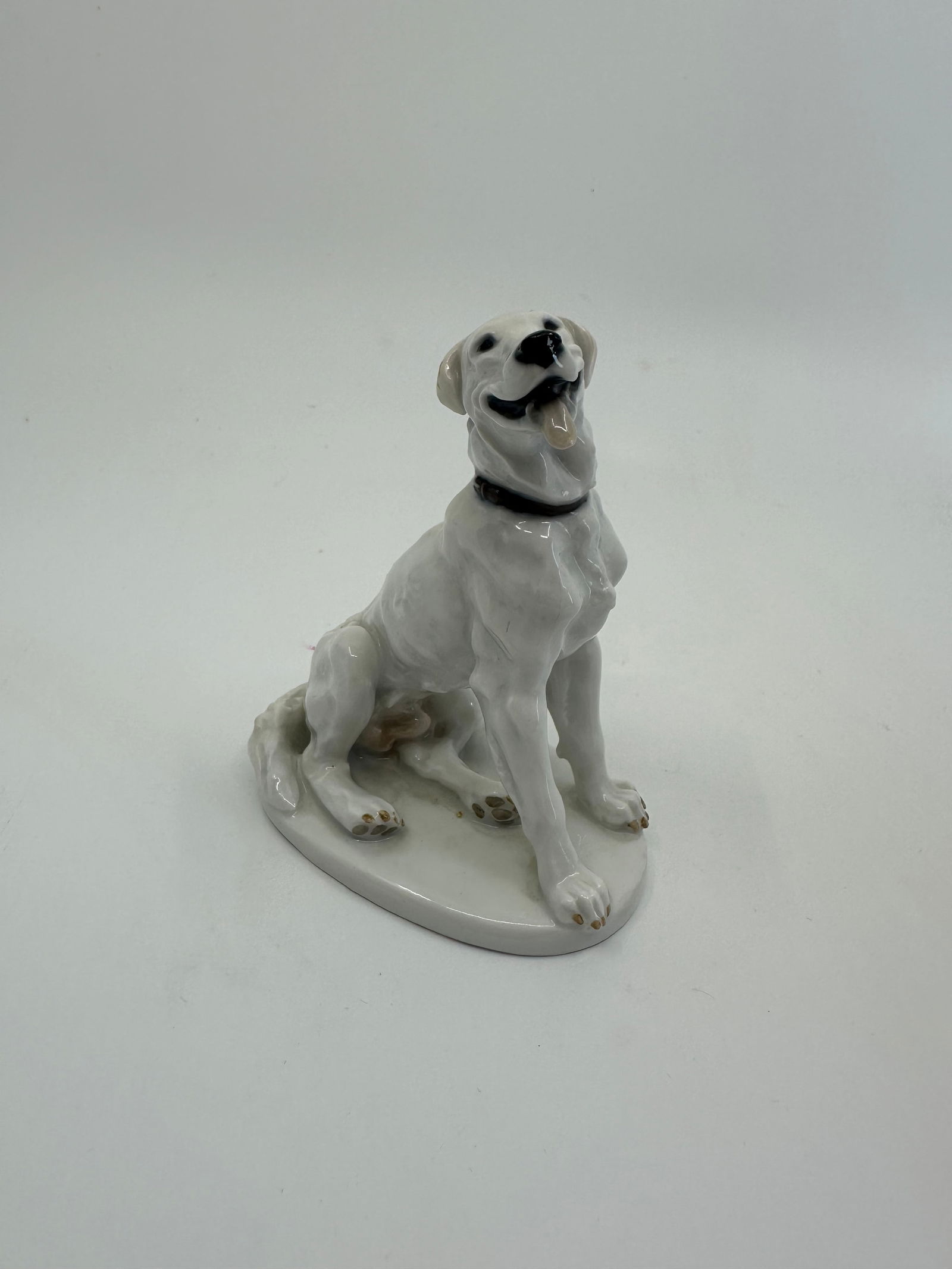 Antique Meissen figure of Dog Hungarian Carasz (1 of 5)