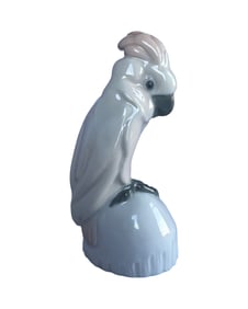Antique Meissen Porcelain Cockatoo