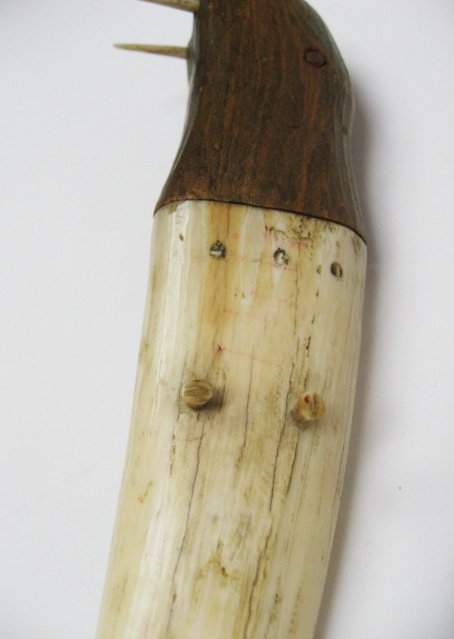 Tooth Cribbage Board in shape of walrus - 3