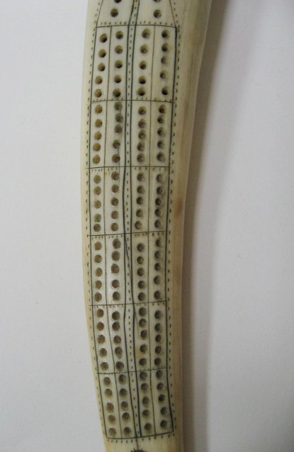 Tooth Cribbage Board in shape of walrus - 4