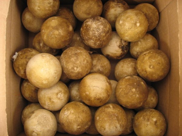 34 Marble River Balls