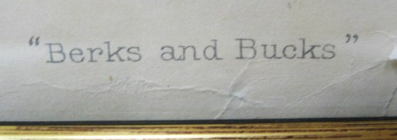 Vanity Fair Print: "Berks and Bucks" - 3