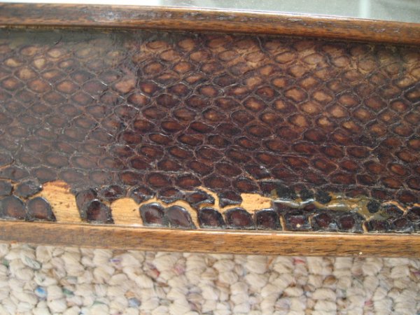 Snake Skin Mirror - 2