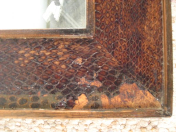 Snake Skin Mirror - 3
