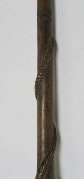 German Carved Walking Stick w/ snake and lizard - 3