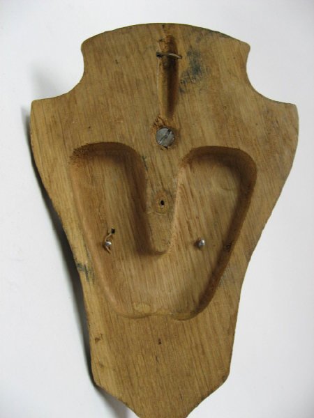 Roebuck Horns Mounted, - 4
