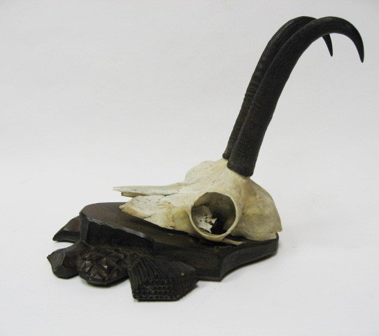 Antelope Horns Mounted, - 2
