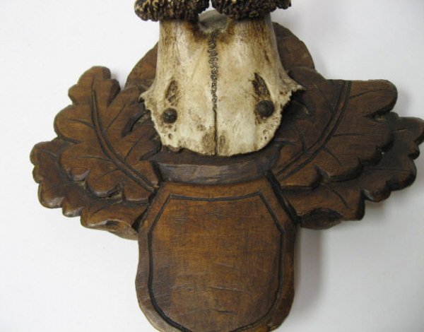 Roebuck Antlers Mounted - 2