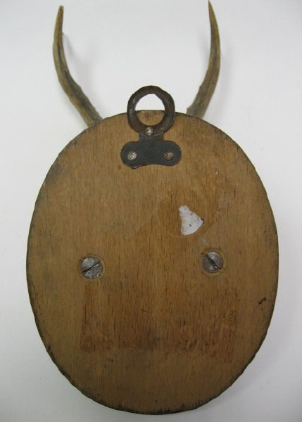Roebuck Antlers Mounted, - 4