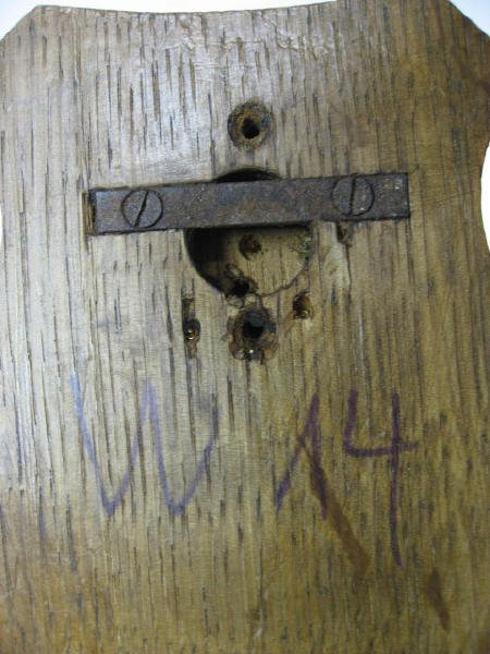 Roebuck Antlers Mounted, - 4