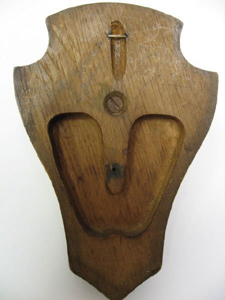 Roebuck Antlers Mounted, - 4