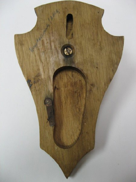 Roebuck Horns Mounted, - 4