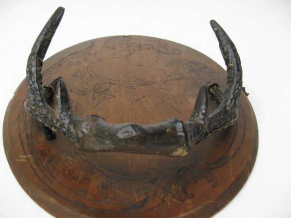 Old Antler Plaque - 2