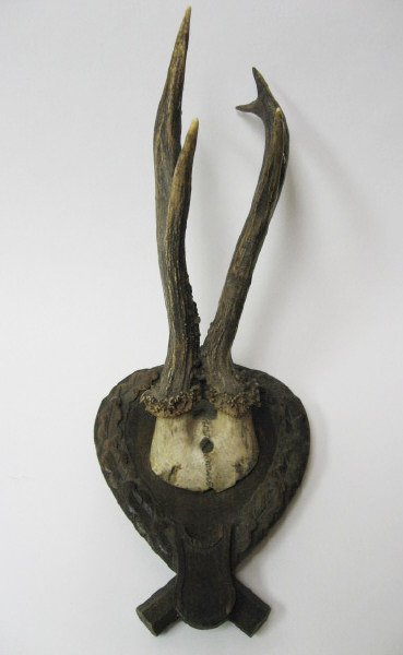 Roebuck Horns Mounted on Folk Art Plaque,