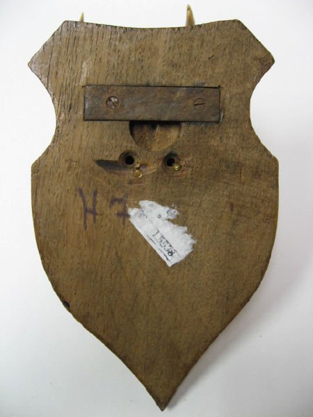 Roebuck Horns Mounted, - 4