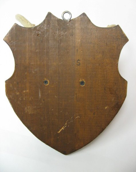 Pair Mounted Antlers, 11" H - 4