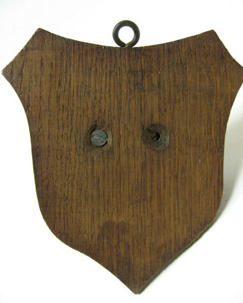 Antelope Horns Mounted, - 4
