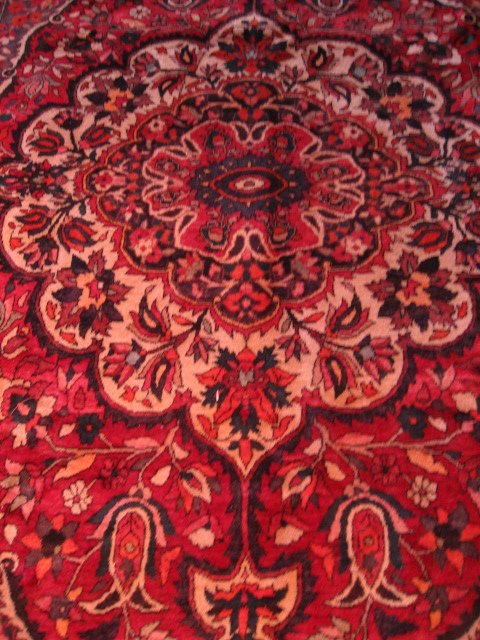 Persian Bakhtiari Rug, 10'8" x 7'1" - 4