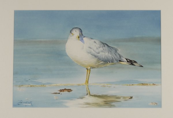 Thomas Wagner "Sea Gull"