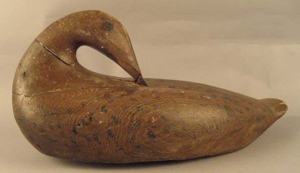 Preening Decoy by Gus Wilson ? - 2