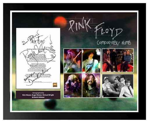 Pink Floyd Comfortably Numb Signed Lyrics Jan 12 2019 High