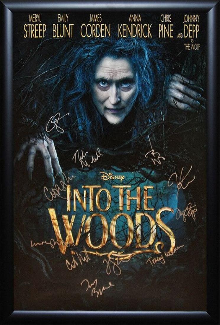 Into The Woods Signed Movie Poster: "Into The Woods" Signed movie poster from the certain hit by stars Meryl Streep, Johnny Depp, Anna Kendrick, Emily Blunt, Chris Pine, Lucy Punch, Christine Baranski, James Corden, Tracey Ullman, Macke