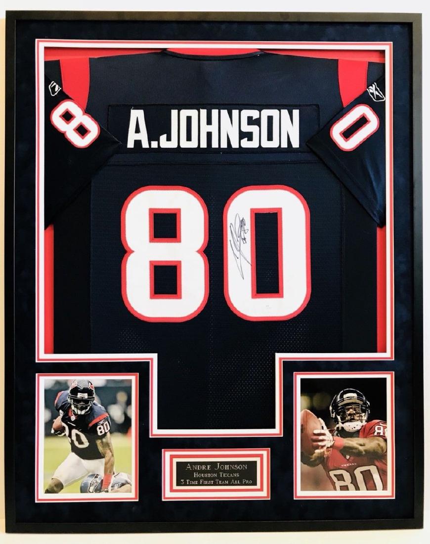andre johnson texans jersey