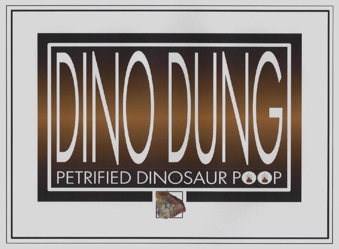Real petrified Dinosaur Dung: "Dino Dung, Petrified Dinosaur Poop" Photo with real petrified Dinosaur feces