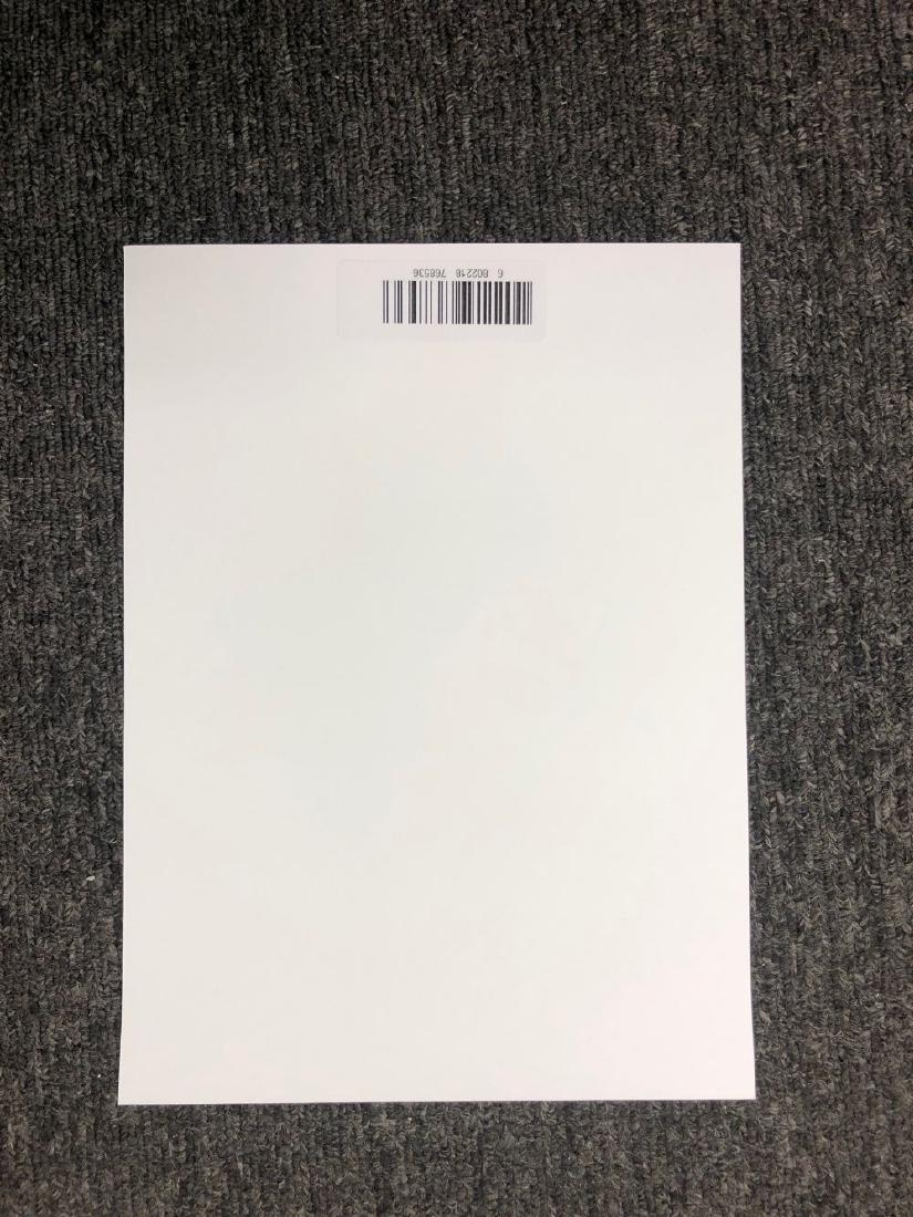 NY Yankees Spring Roster Program