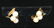 14K Yellow Gold & Cultured Pearl Costume Earrings - 3
