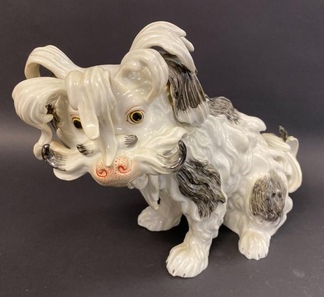 Dresden Porcelain Bolognese Dog: Dresden porcelain seated Bolognese Spaniel (so-called "lion dog"), having a brown and white long curly coat, beard and mustache, with long locks of hair falling over its face and brown eyes. Under gla
