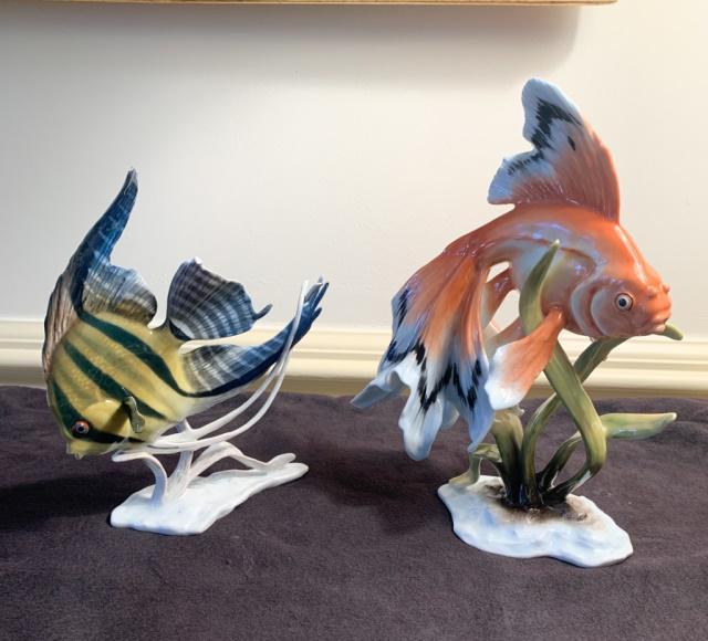 Rosenthal Goldfish & Angelfish (1 of 14)