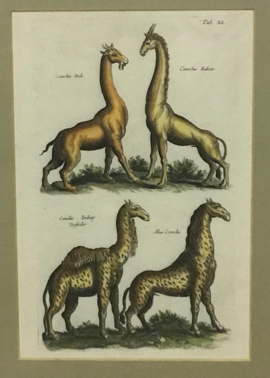 Matthaus Merian Hand Colored Engraving (1 of 5)