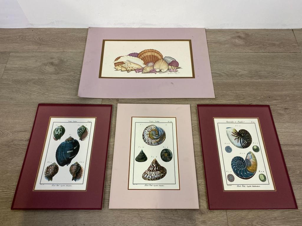 Mathilde Duffy Print, Shell Prints (1 of 5)