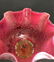 Pair of Electrified Kerosene Lamps - 7