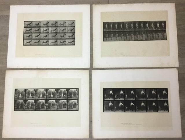 4 Eadweard Muybridge Collotype Plates (1 of 20)