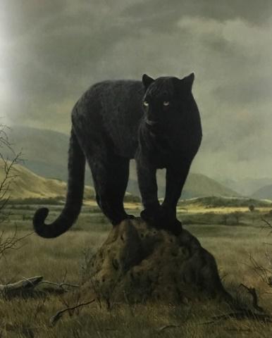 Charles Frace Print Black Panther (1 of 4)