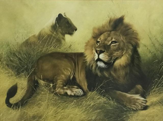Charles Frace Print Lion & Lioness (1 of 4)