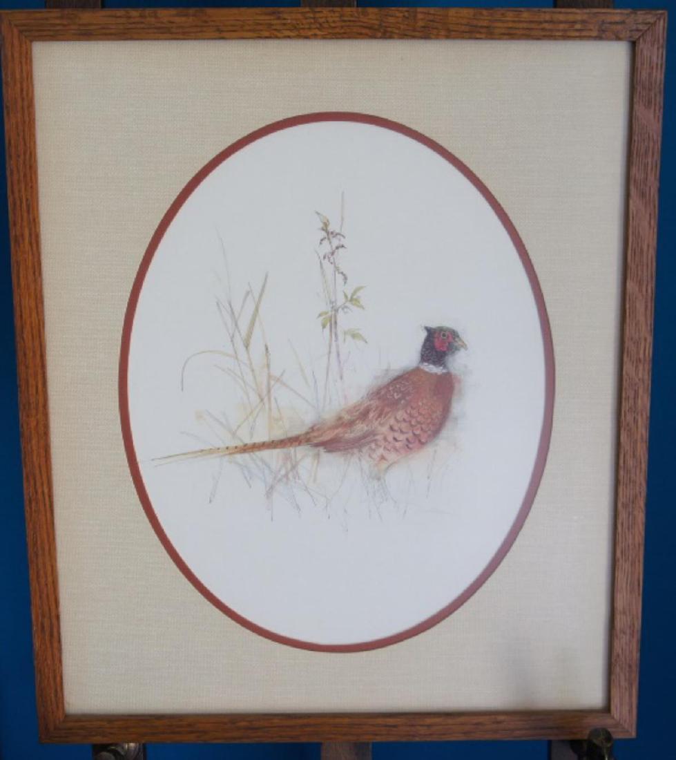 Framed Print of Pheasant (1 of 2)