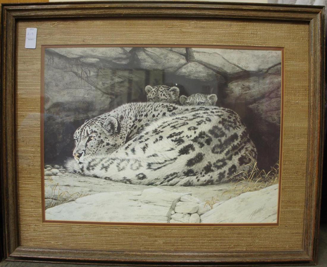 Guy Cohleach Snow Leaopard & Cubs signed print (1 of 5)