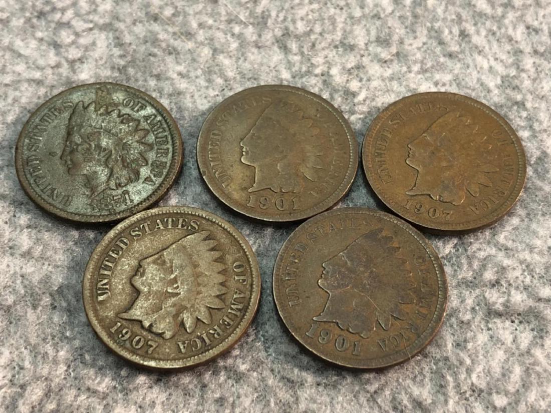 5 Indian Head Pennies (1 of 2)