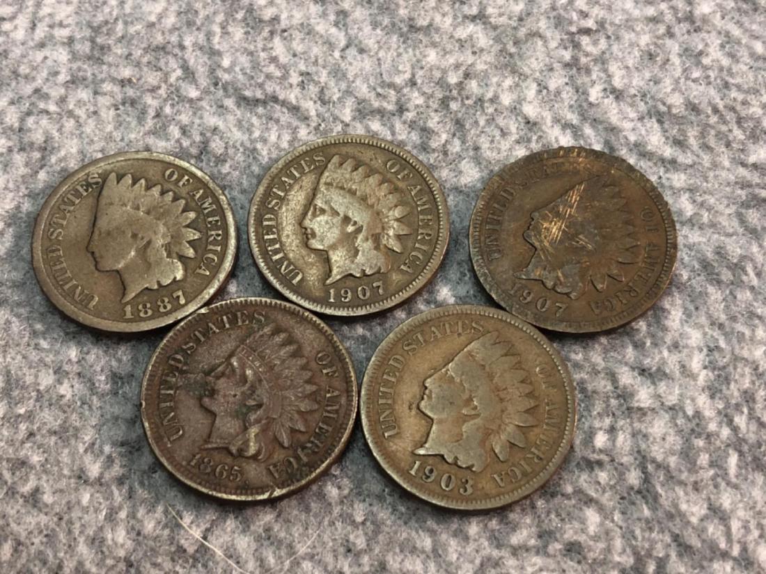 5 Indian Head Pennies (1 of 2)