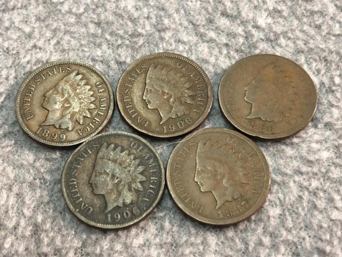 5 Indian Head Pennies (1 of 2)