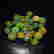 item-70331048=3