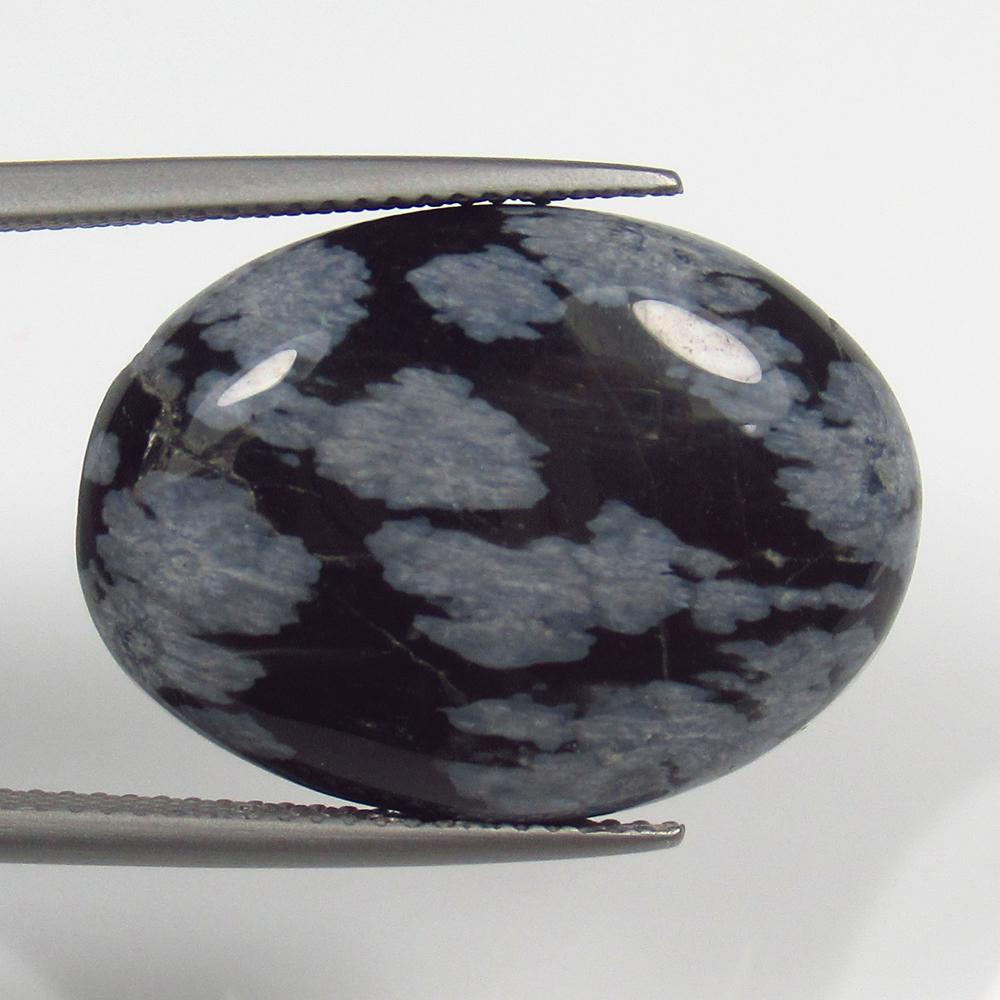 14.93 Ct Natural Black Dendrite Opal Loose Stone (1 of 2)